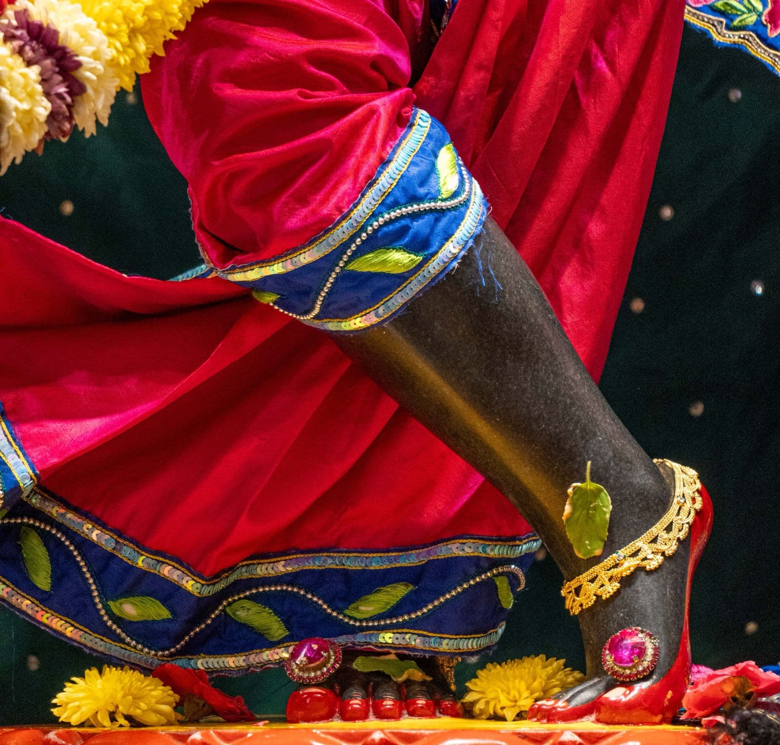 Sringar Darshan photo 3 of 6 — 9 May 2026