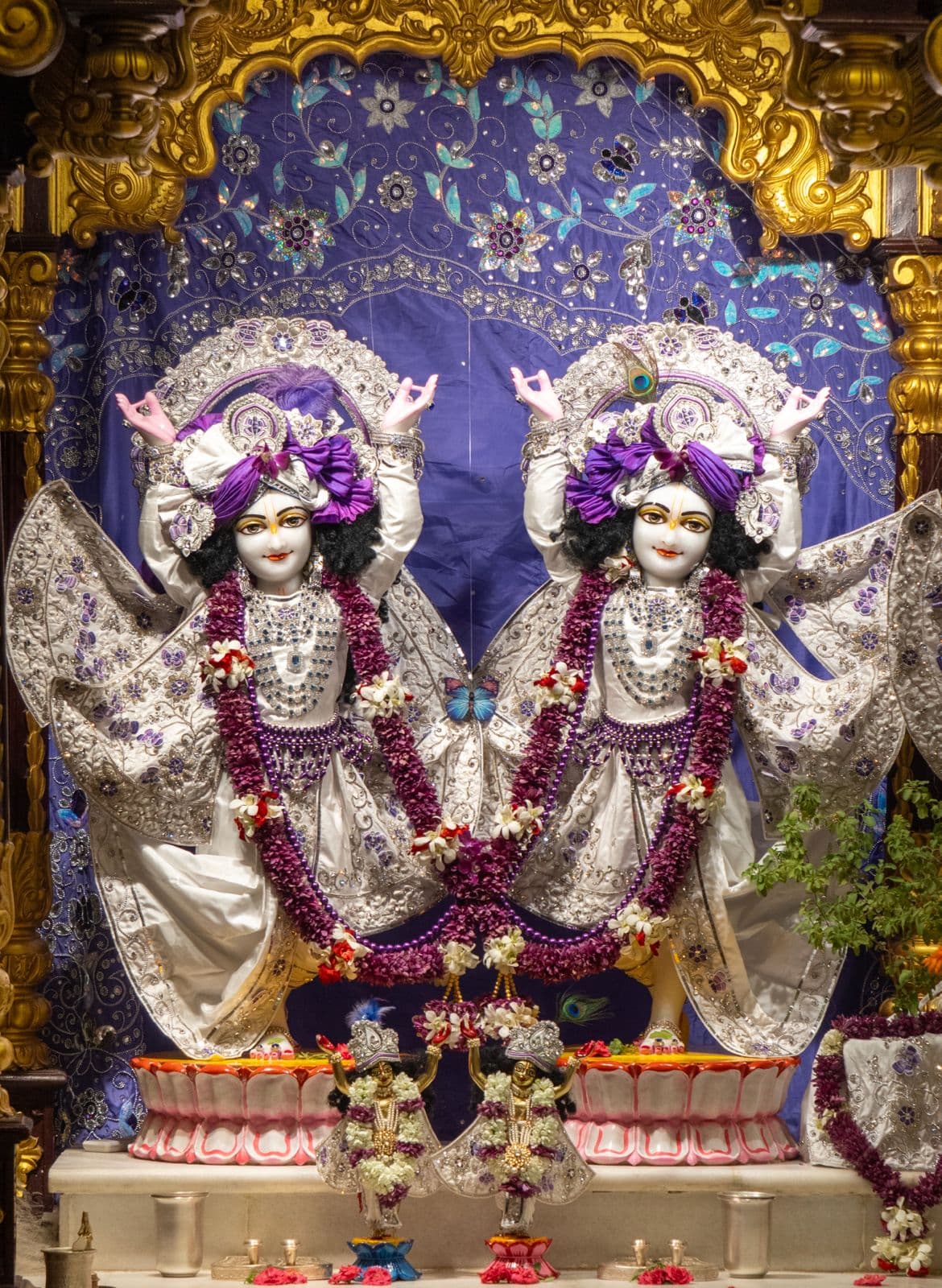 Sringar Darshan photo 4 of 6 — 14 May 2026