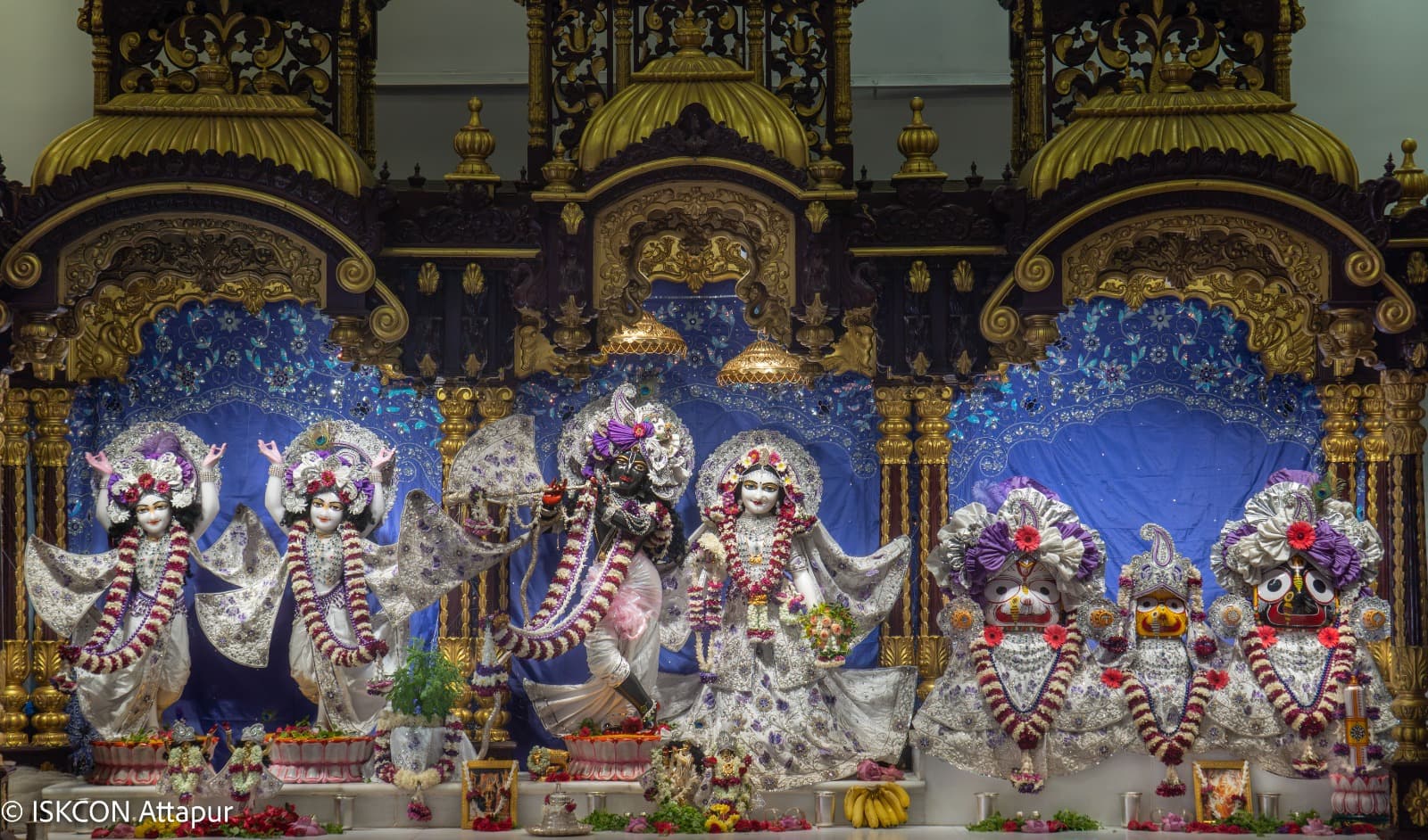 Sringar Darshan photo 2 of 6 — 17 August 2026