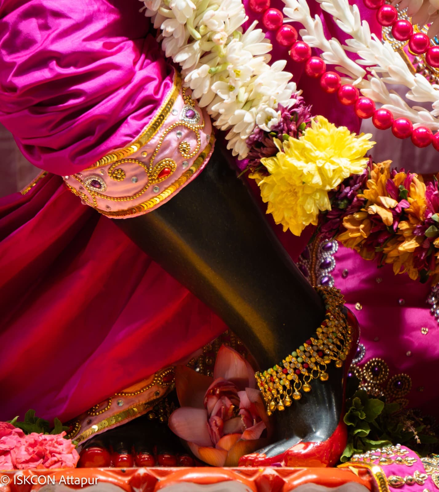 Sringar Darshan photo 4 of 6 — 25 August 2026