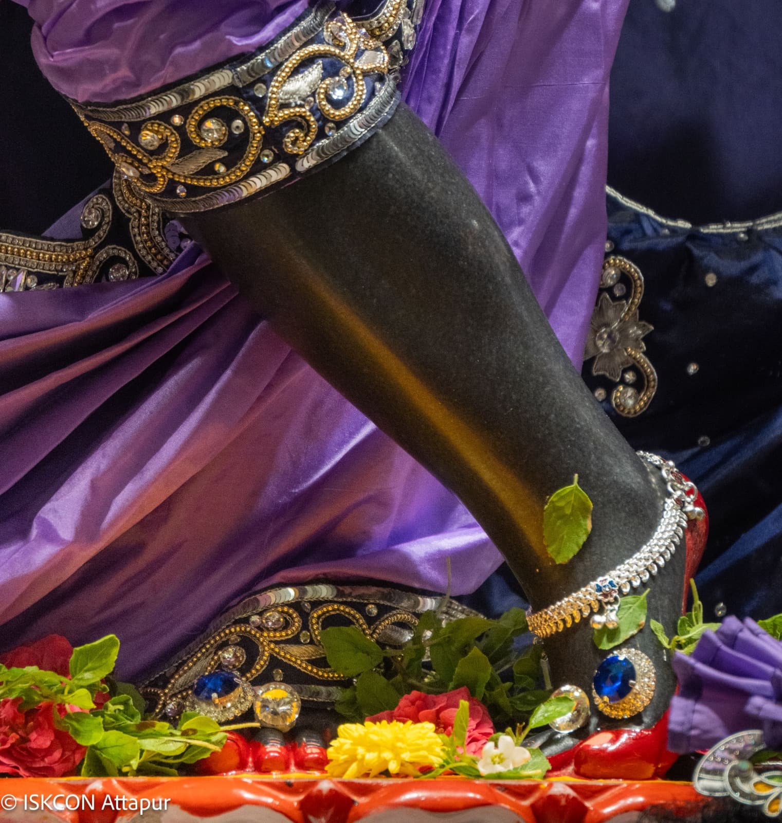 Sringar Darshan photo 4 of 6 — 29 August 2026