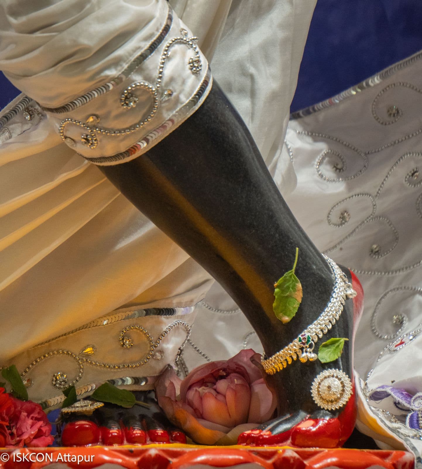 Sringar Darshan photo 3 of 6 — 31 August 2026