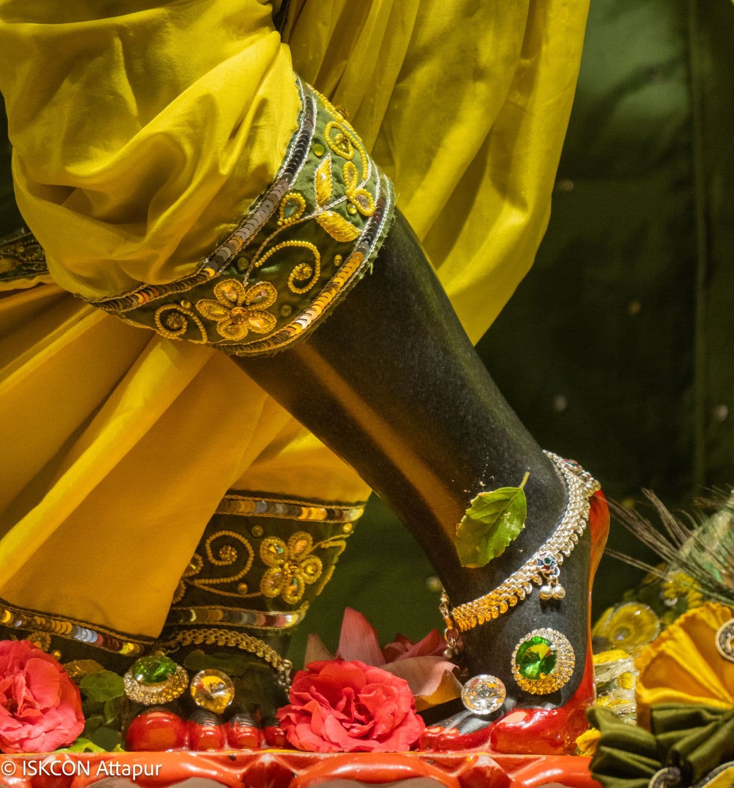 Sringar Darshan photo 5 of 6 — 3 September 2026