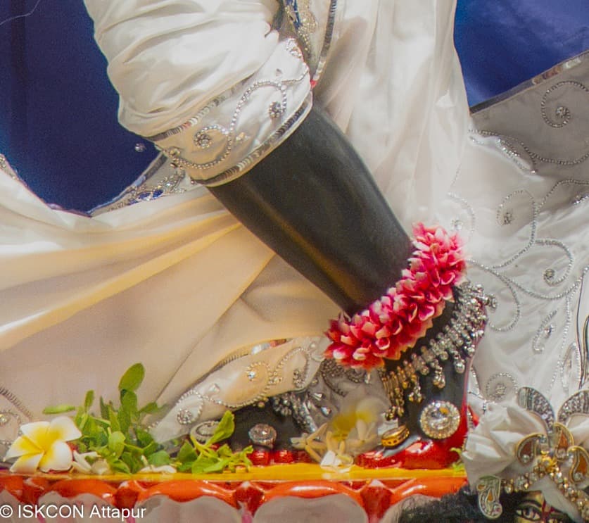 Sringar Darshan photo 4 of 6 — 5 October 2026