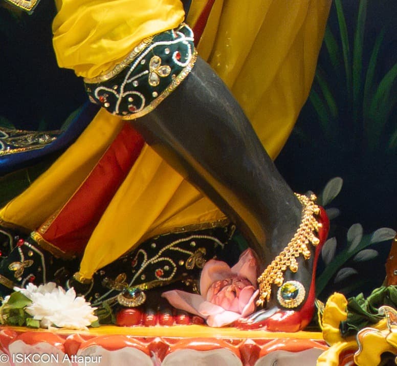Sringar Darshan photo 6 of 6 — 13 October 2026
