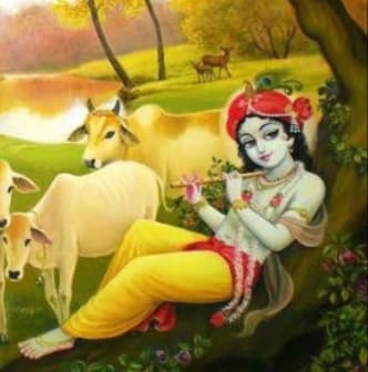 Krishna's Cows